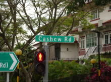 Blk 104 Cashew Road (S)679679 #77062